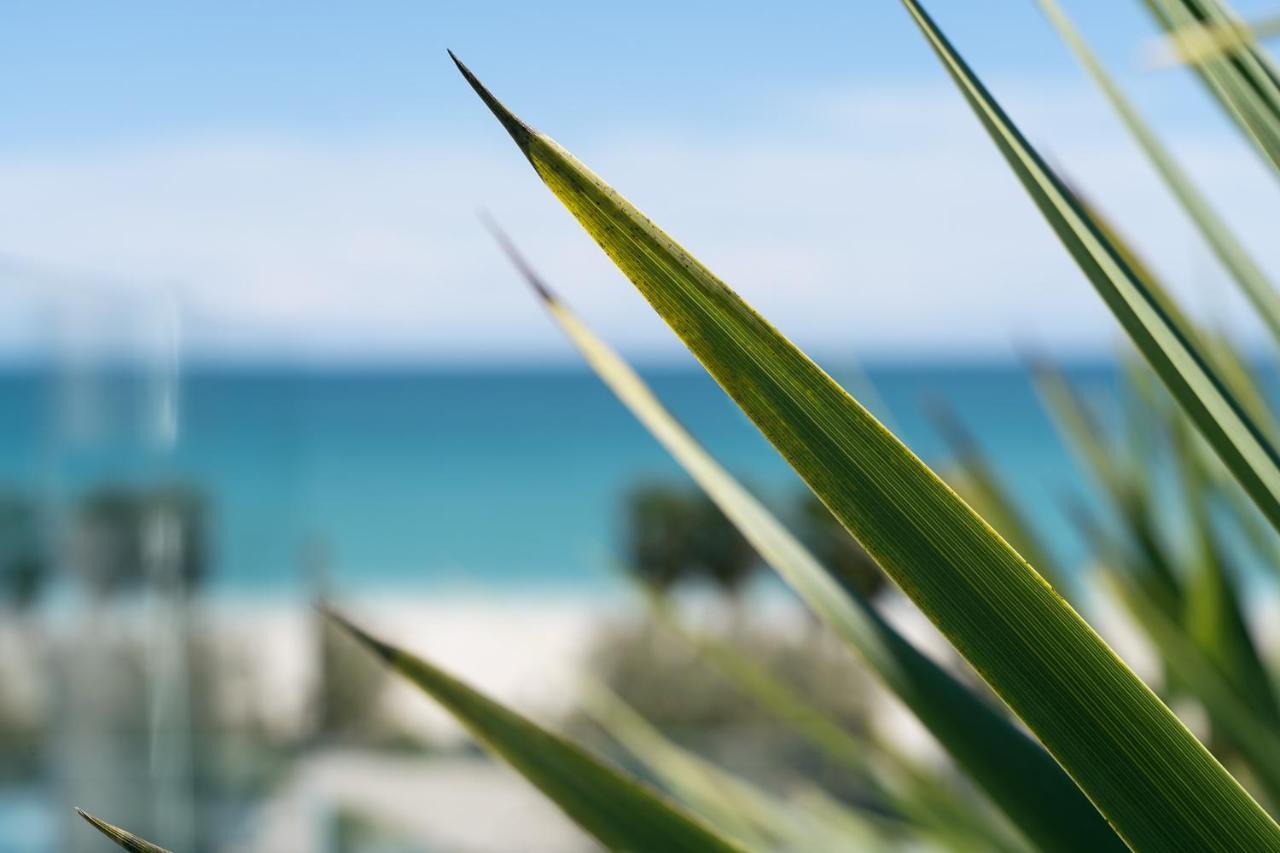 Piccola Maesta' Boutique Rooms Civitanova Marche Eksteriør billede